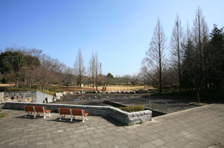 【周辺】 | 北竜台公園