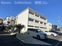 Riccoの画像