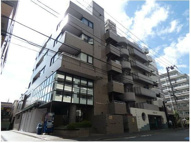 ウェルマン千鳥の画像