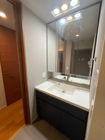 ライオンズ府中駅前の洗面所