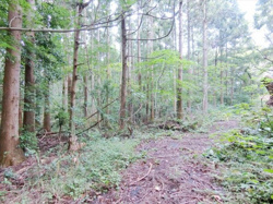 伊東市富戸　売地