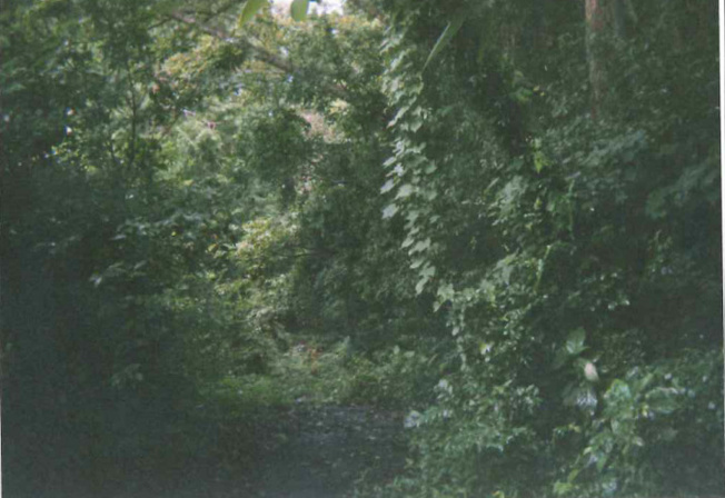 【外観】 | 伊東市富戸　売地