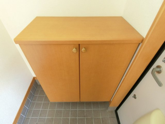 キャパシティハウスAの玄関|収納もある玄関です