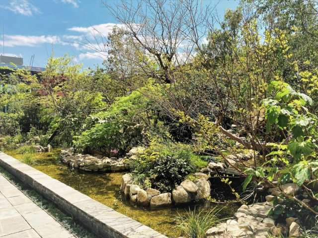 【その他共用部分】 | パークコート文京小石川ザ・タワー | 【パークコート文京小石川ザ・タワー】