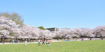 【周辺】 | パレステージ川口並木 | 蕨市民公園まで685m