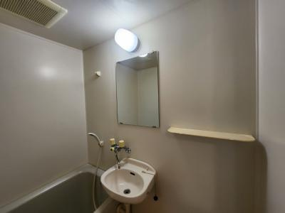 PALACEFIRSTQの洗面所|浴室洗面