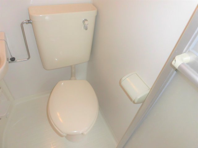 マウンティンやかたⅡのトイレ
