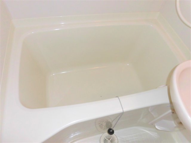 マウンティンやかたⅡの浴室