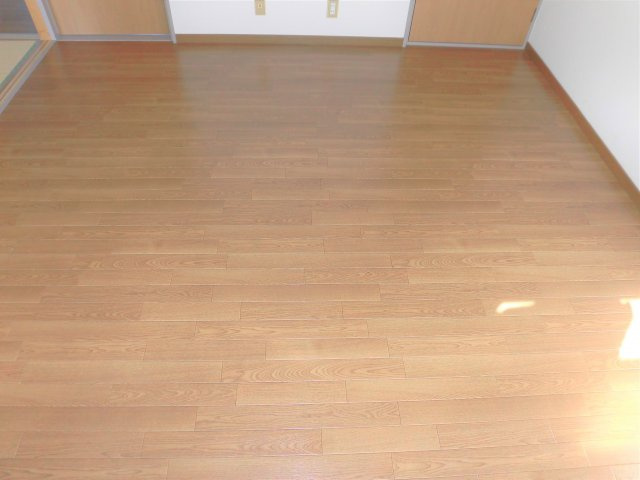 マウンティンやかたⅡの洋室