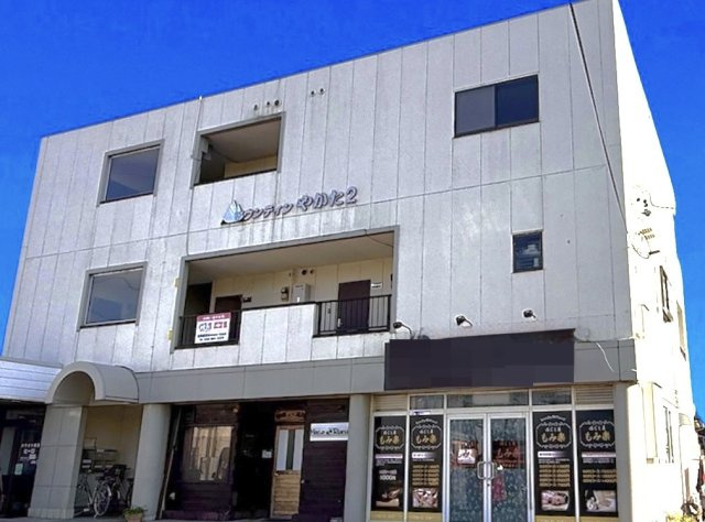 マウンティンやかたⅡ