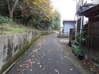 【前面道路含む現地写真】