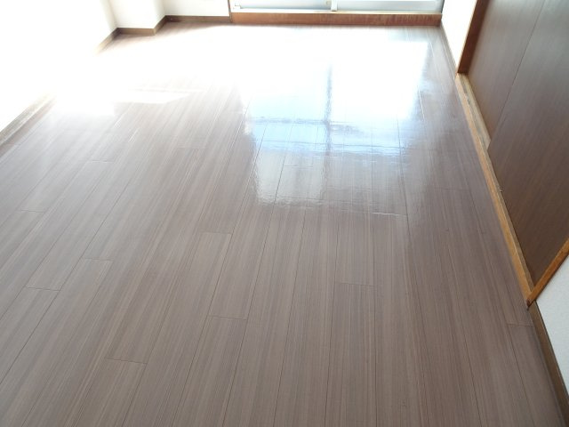 リバーサイドコートあづまの洋室