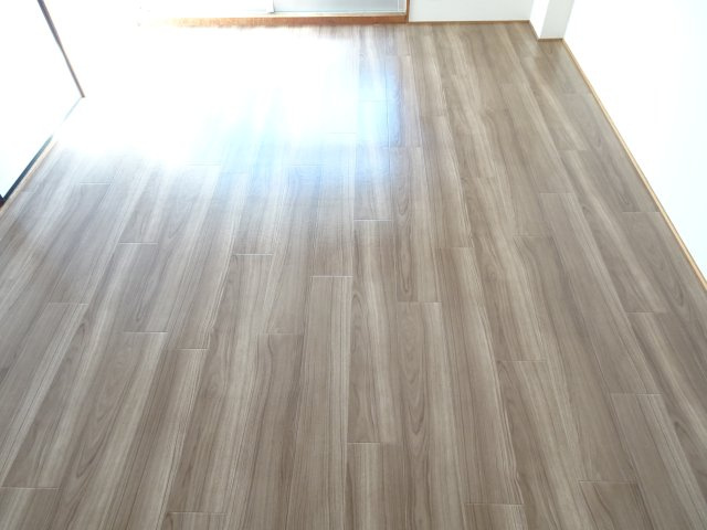 リバーサイドコートあづまの洋室