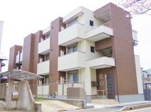 アマランサスの画像