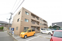 Y&M GENTRY　AYUの画像