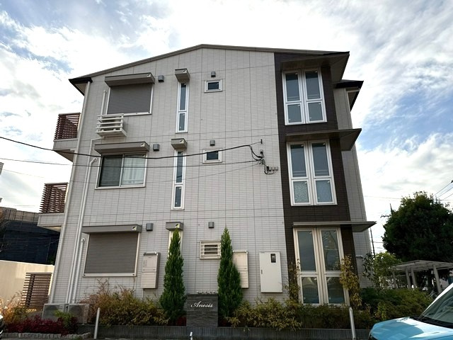 アネシスの画像