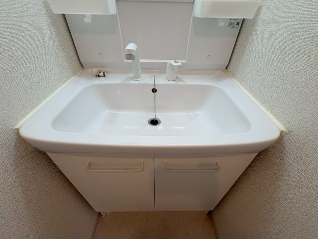 カーサルミエールの洗面所