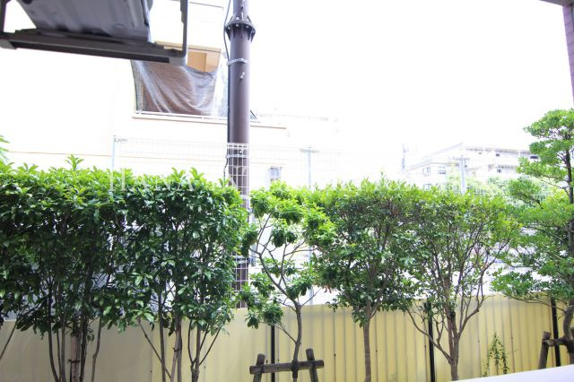 クレシア・アイ  の展望