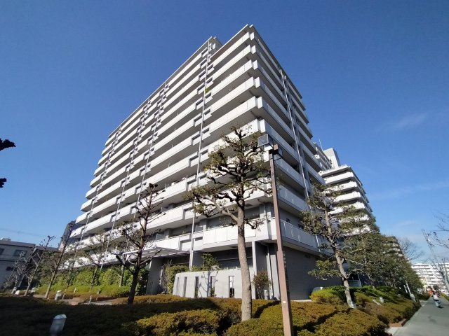 ウェルコートしぎの