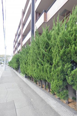 【外観】 | ラピスガーデン旭ヶ丘