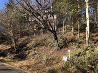 佐久高原荒船別荘地の画像