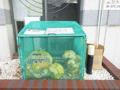 コートプリモの周辺|ゴミ捨て場