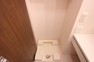 【その他】 | パルスミノール