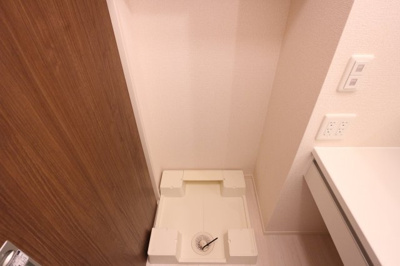 【その他】 | パルスミノール