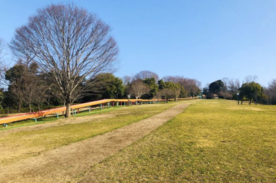 【周辺】 | 城陽市寺田宮ノ谷　注文建築　建築条件なし　土地 | 【鴻ノ巣山運動公園：車で約4分】レクリエーションゾーンには大芝生場が広がり、大型遊具や人気のローラースライダーがある。毎年クリスマスの季節には、城陽の冬の風物詩.光のページェントが開催される。