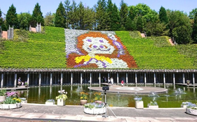 【周辺】 | 城陽市寺田宮ノ谷　注文建築　建築条件なし　土地 | 【宇治市植物公園：車で約6分】面積10ヘクタールの敷地に約1,450種類、約3,200本の植物が植えられている。山野草展、木の実展、春蘭展など、植物に関するさまざまな展示会を年間25回展示開催。