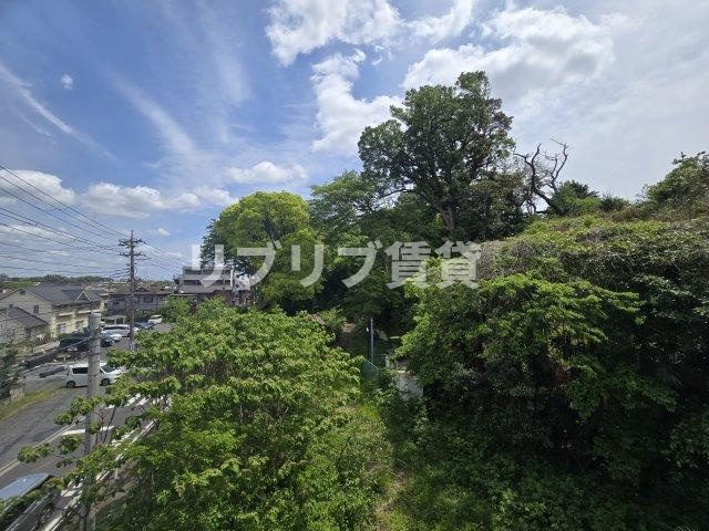 ホワイトレジデンスの展望