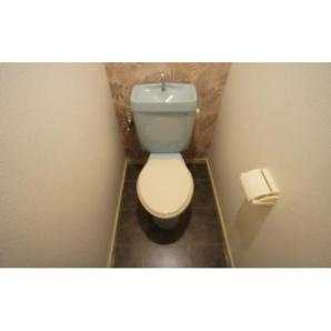 サングリーンハイツのトイレ