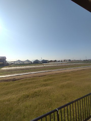 【展望】 | ウイング