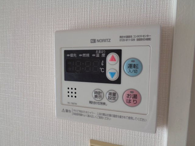 ロイヤルシングルのその他