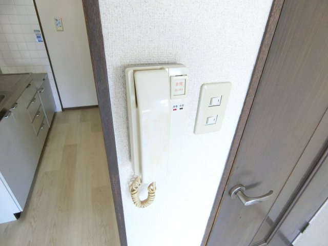 アレグレスのその他