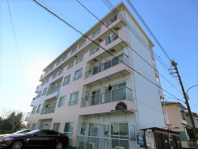 エクセルミドリ