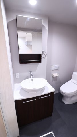 ラブランの洗面所