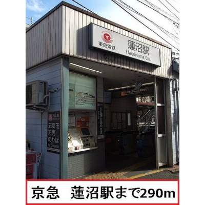 【周辺】 | シャイニングワカ