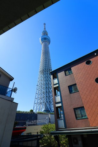 【展望】 | ライフコア押上 3F | 東京スカイツリーの御膝元！東京ソラマチ生活圏内！