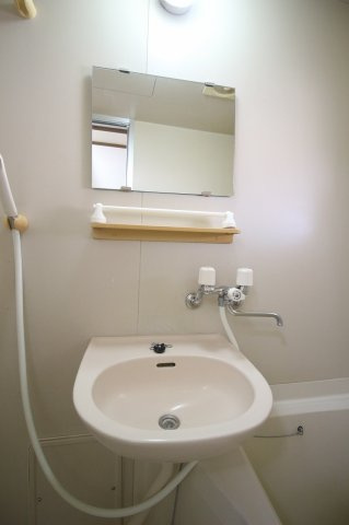 サウスルピナスの洗面所