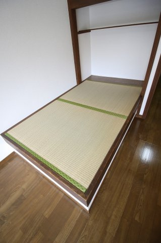 サウスルピナスのその他