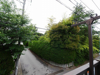 【展望】