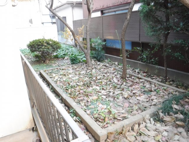 パールホワイトの展望