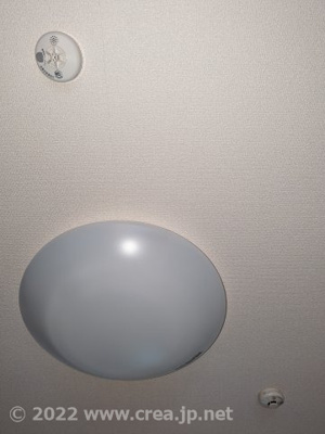 【その他】 | コリーヌ