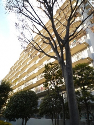 【外観】 | 成増ハウス