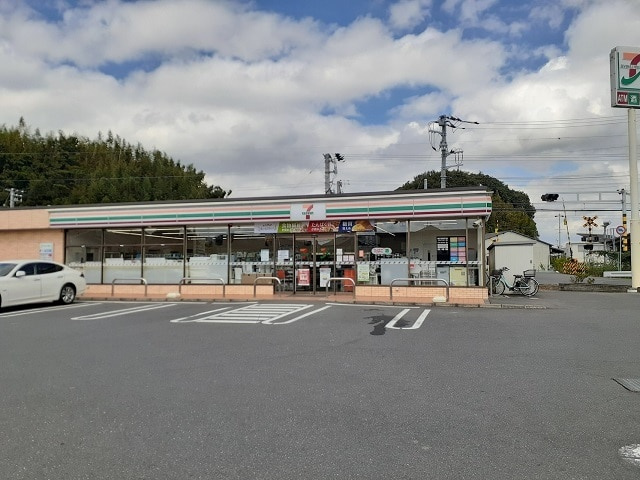 アナベルの周辺