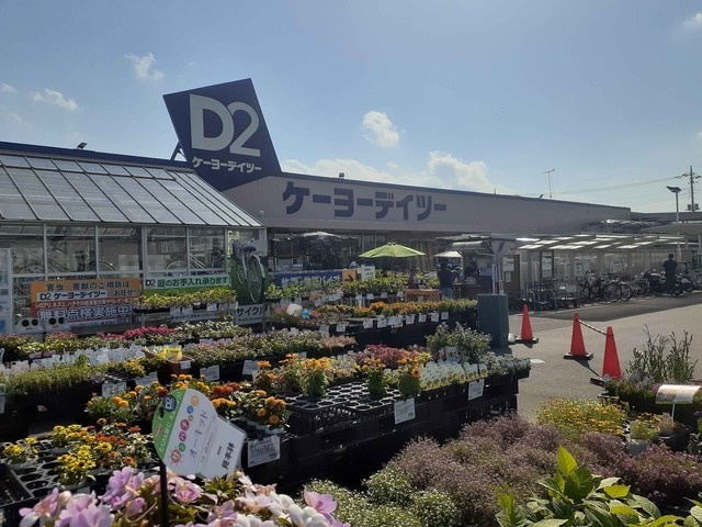 アナベルの周辺