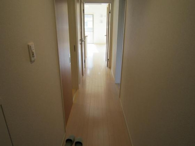  | ＬＵＦＥＬＩ