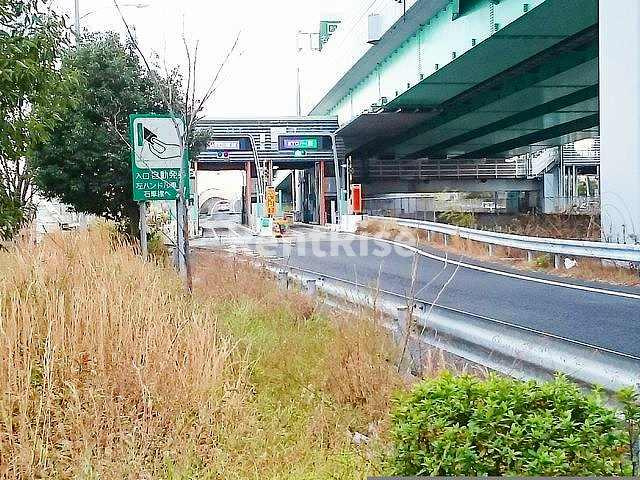 ブルー　ムーンのその他|その他