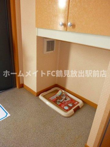 ボーナコムのその他